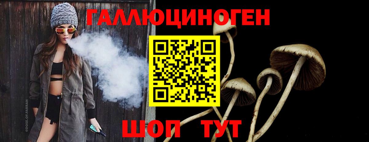 Галлюциногенные грибы Psilocybine cubensis  Вход с VPN  Беслан 