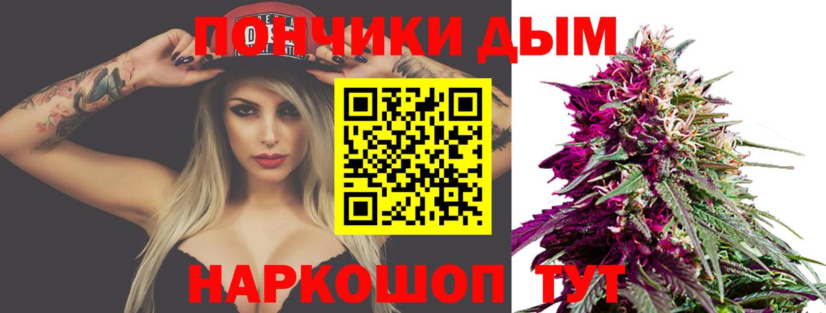 Конопля сатива Беслан